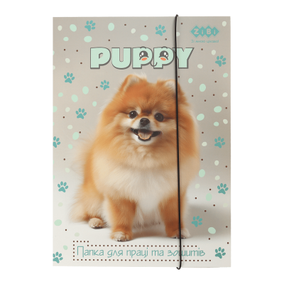 Папка для труда и тетрадей на резинке Dog А4, ZB.14940-22