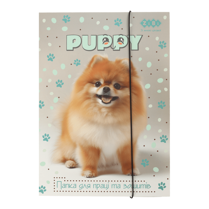 Папка для праці та зошитів на гумці Dog А4, ZB.14940-22