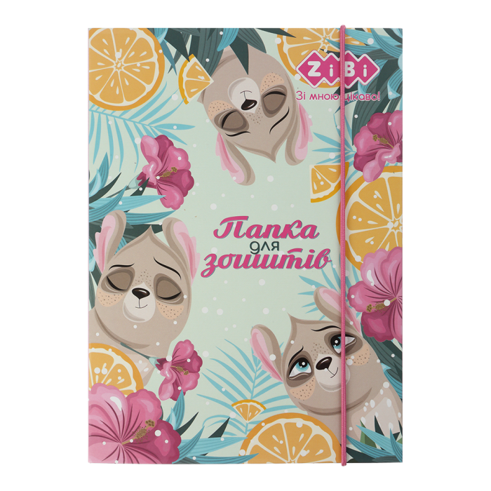 Папка для зошитів на гумці Cute B5+, ZB.14983