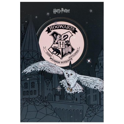 Блокнот-планшет Harry Potter, клетка, А5, 50л.