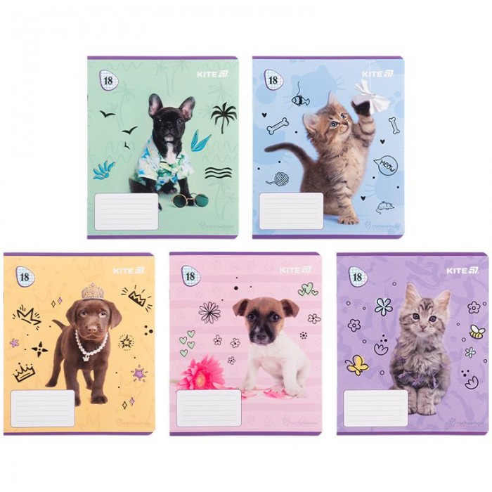 Зошит 18 аркушів, клітинка Rachael Hale