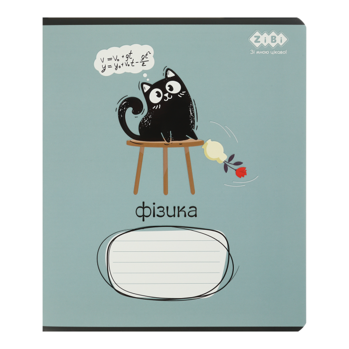 Зошит предметний Crazy Cat фізика, клітинка, 48арк. 