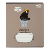 Тетрадь предметная Crazy Cat история, клетка, 48л.