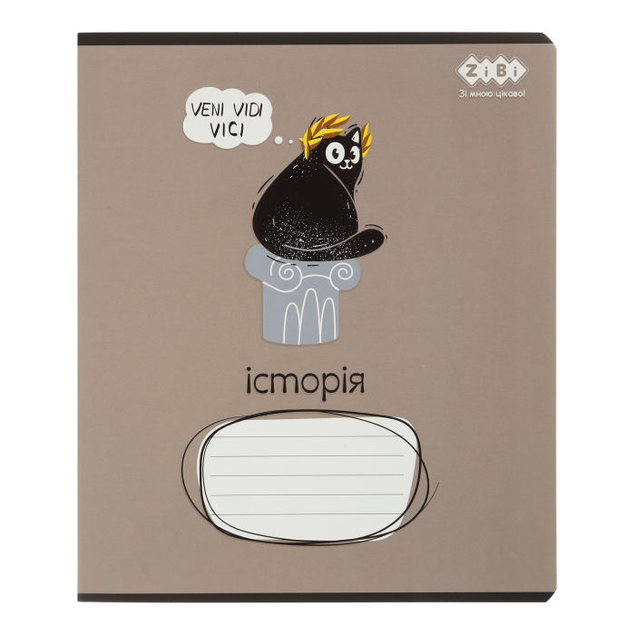 Зошит предметний Crazy Cat історія, клітинка, 48арк. 