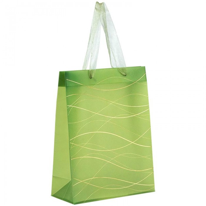 Пакет пластиковий подарунковий 25х19x8.5см Waves-3